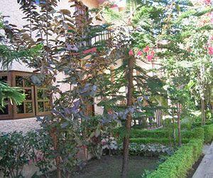 Corbett Treff Hotel Dhikuli Exterior photo